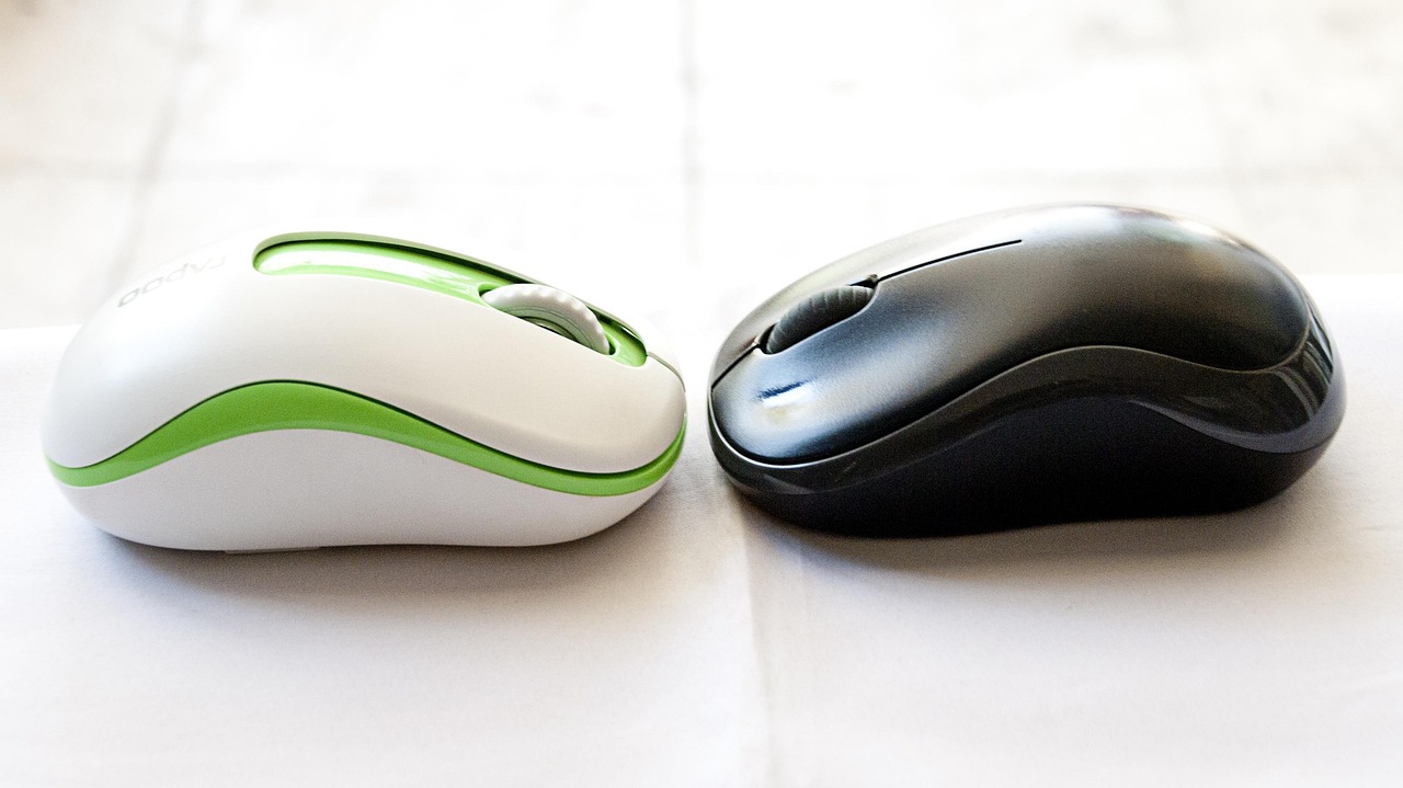 Souris blanche et noire